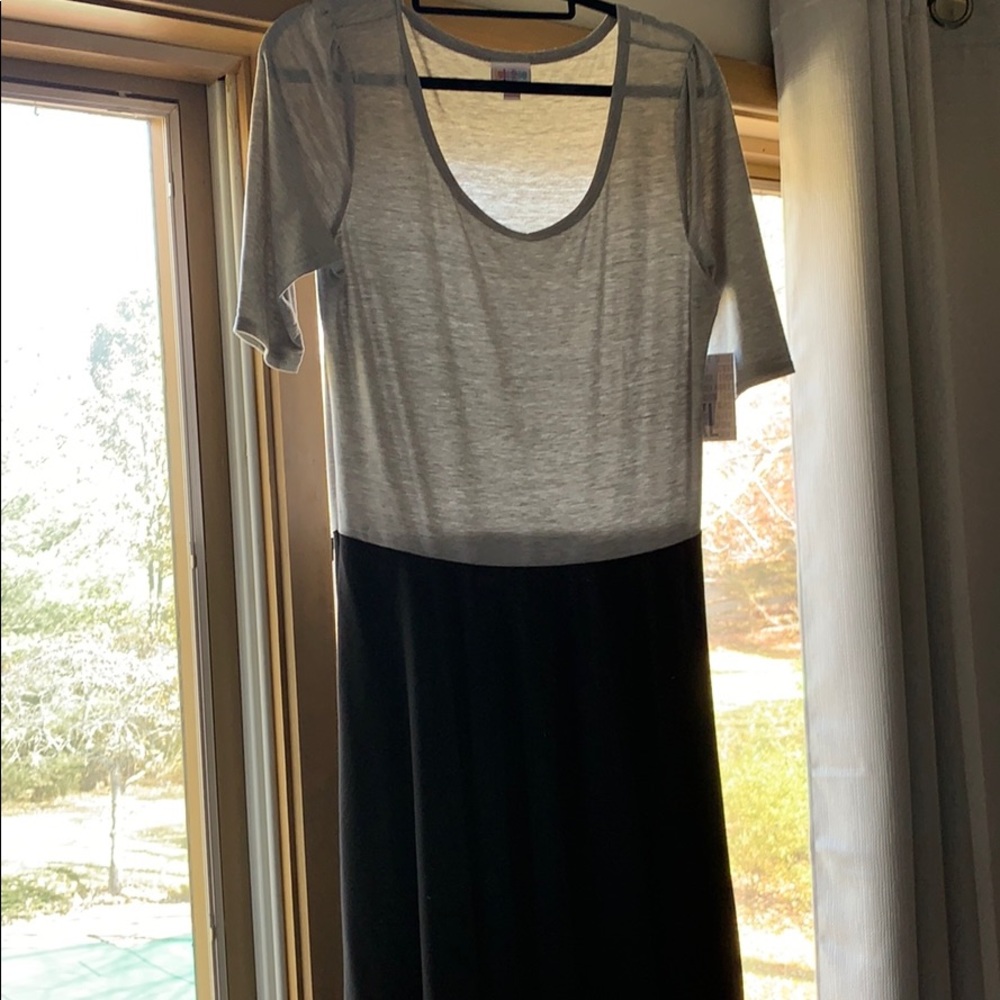 NWT LulaRoe Nicole